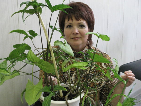 Светлана Баженова