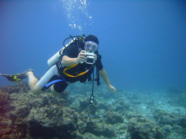 Андрей Коротаев