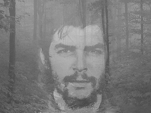 Александр Николаевич