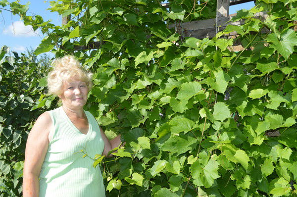 Надежда Никитина(Власенко)