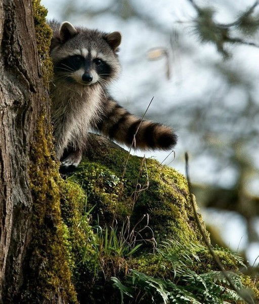 Дмитрий Москалёв