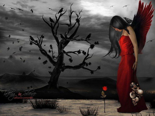 Владимир Волков