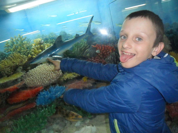 Влад Новиков