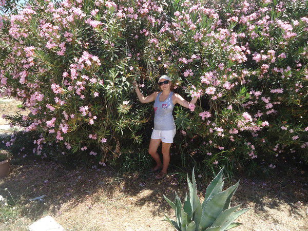 Елена Смышляева