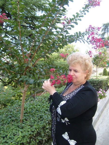 Светланка Светик