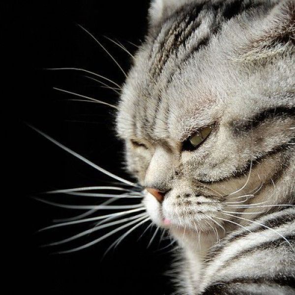 Артем Литвинович