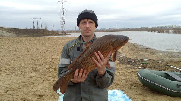 Андрей Гриценко