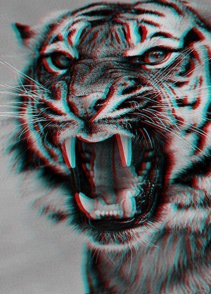 Денис Левин