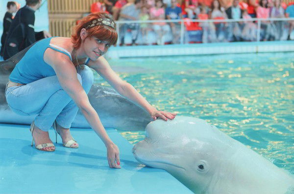 Светлана Иванисько