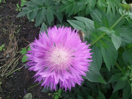 Михаил Карбаков