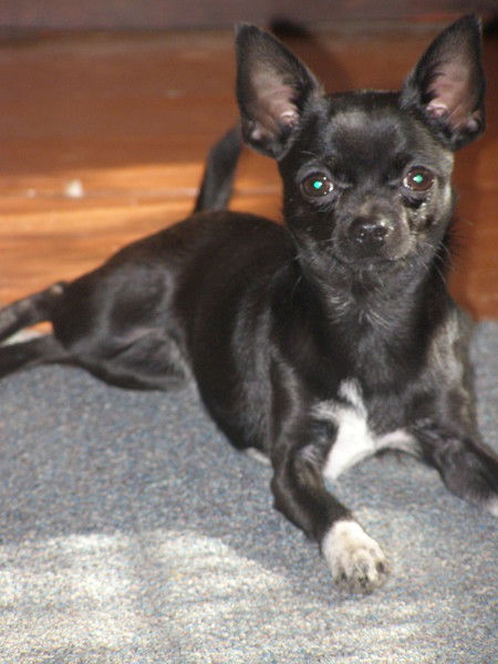 Яна Кулагина