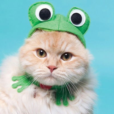 Екатерина Высоцкая