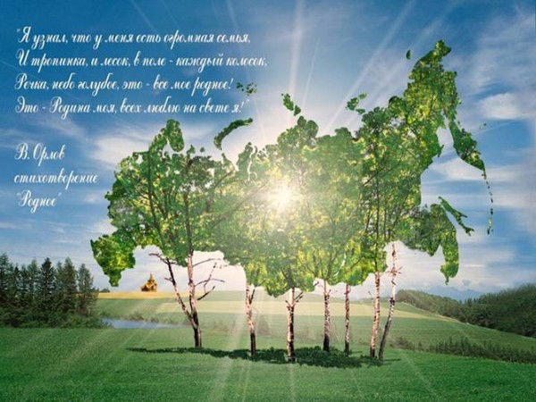 Елена Веселова