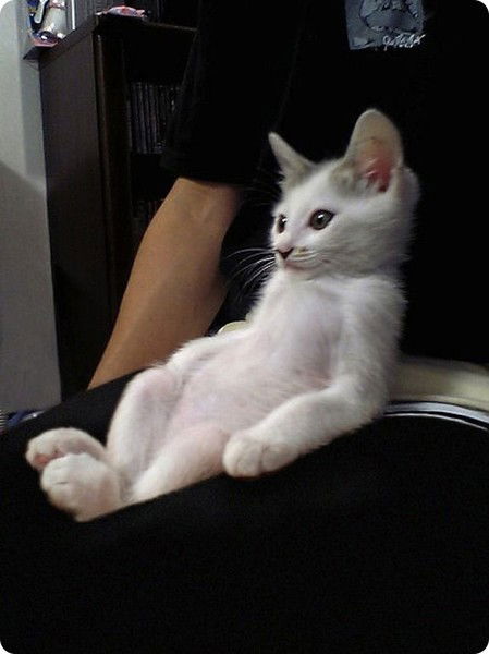 Анастасия Михайлова