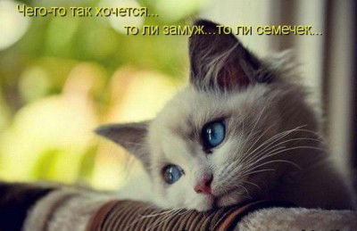 Екатерина Тихоненко