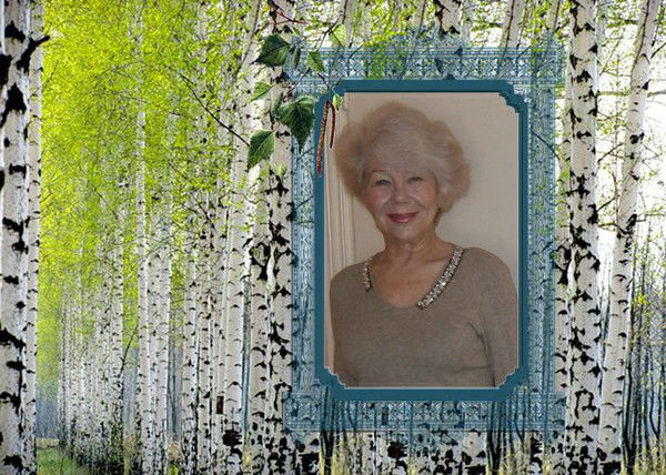 Светлана Стрельцова