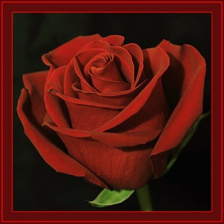 Галия*-* Валиева(-)