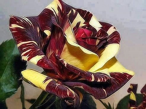 Райхан Оразбаева