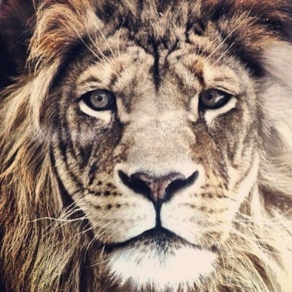 Владимир Ульянов