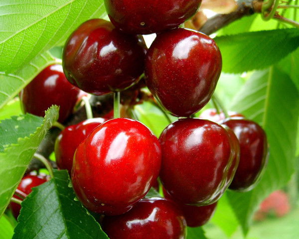 Наталия Я...