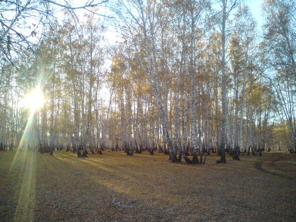 Евгений Сергеев