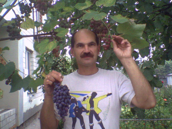 Андрей Карченков