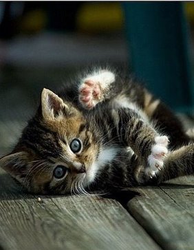 Просто Вредина