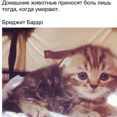 Ангелина Садриева