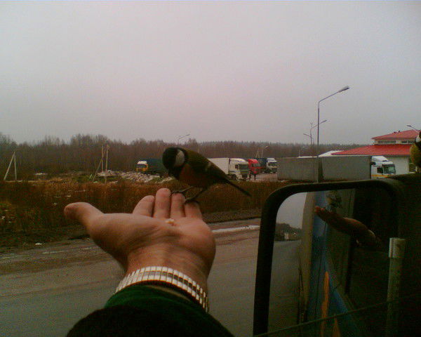 Александр Сергеев