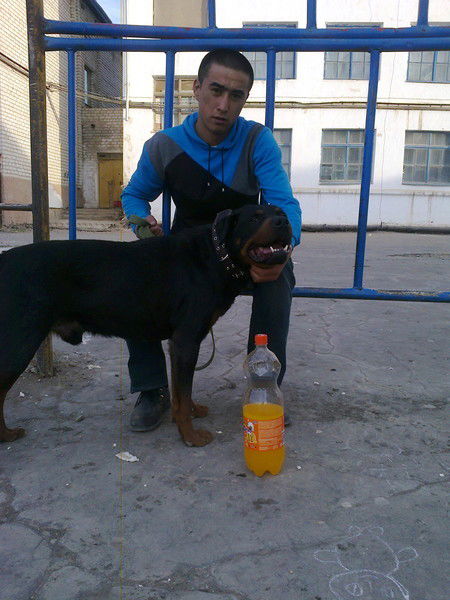 Галымжан Рахатов