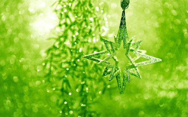 Кристина Ряшенцева