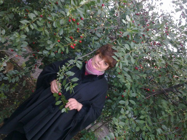 Светлана Дмитриева