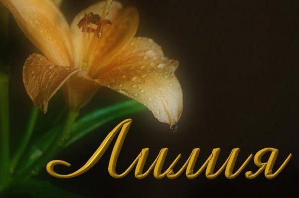 **зеленоглазая **