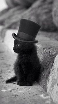 Виталий Савельев