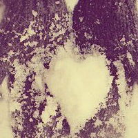 Наталія Новосад