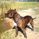 Женя Гусев