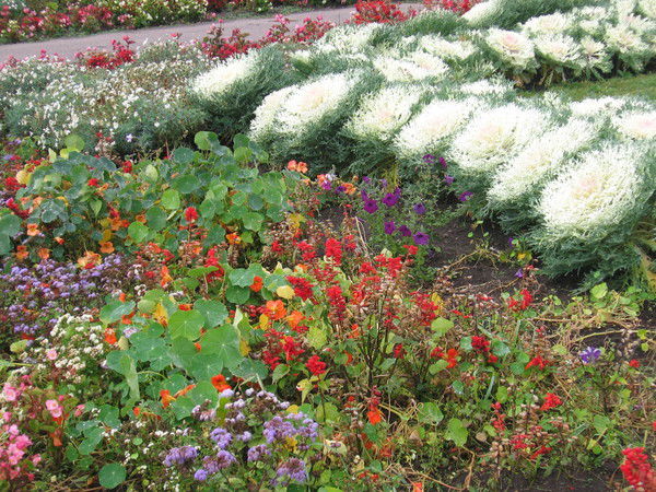 Анна Васильева