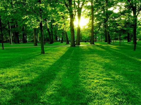 Андрей Кузнецов