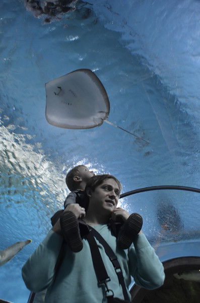 Илья Прокофьев