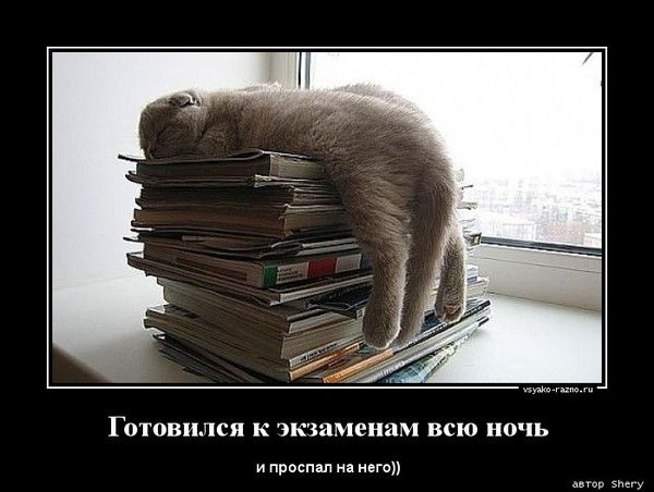 Руслан Сулейменов