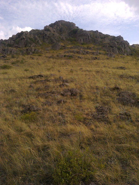 Гульмира Ахмадиева