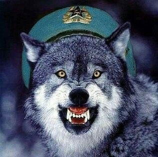 Николай Лапезо