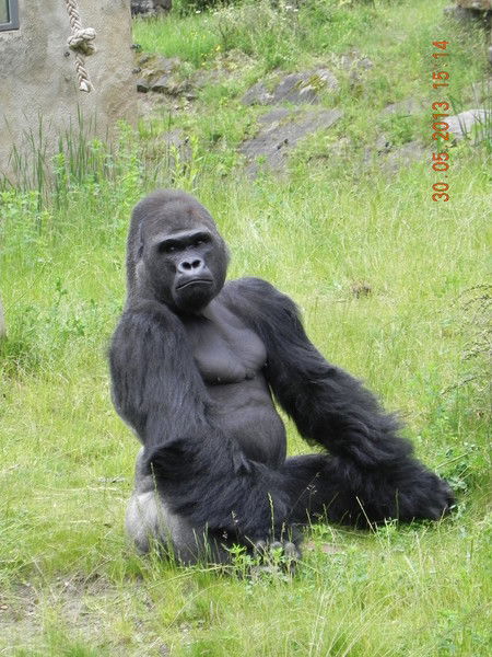 Алексей Кирюшкин