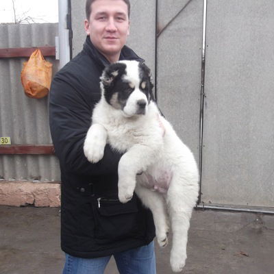 Дмитрий Гусев