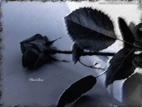 Ольга Хайдукова