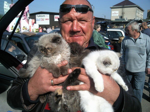 Игорь Корчуков