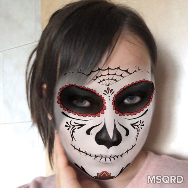 Про100 Люблю Кошек