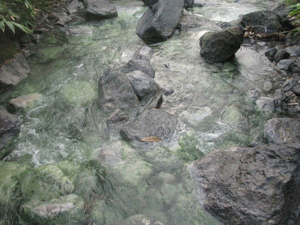 Александр Мелешко