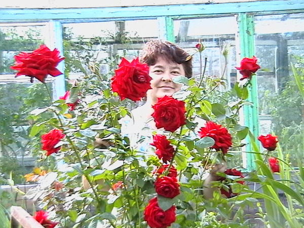 Ольга Мастерских