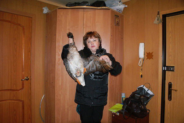 Ольга Захарова